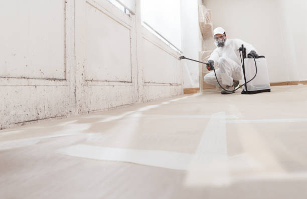 24/7 Emergency Mold Remediation experts in Markham, VA